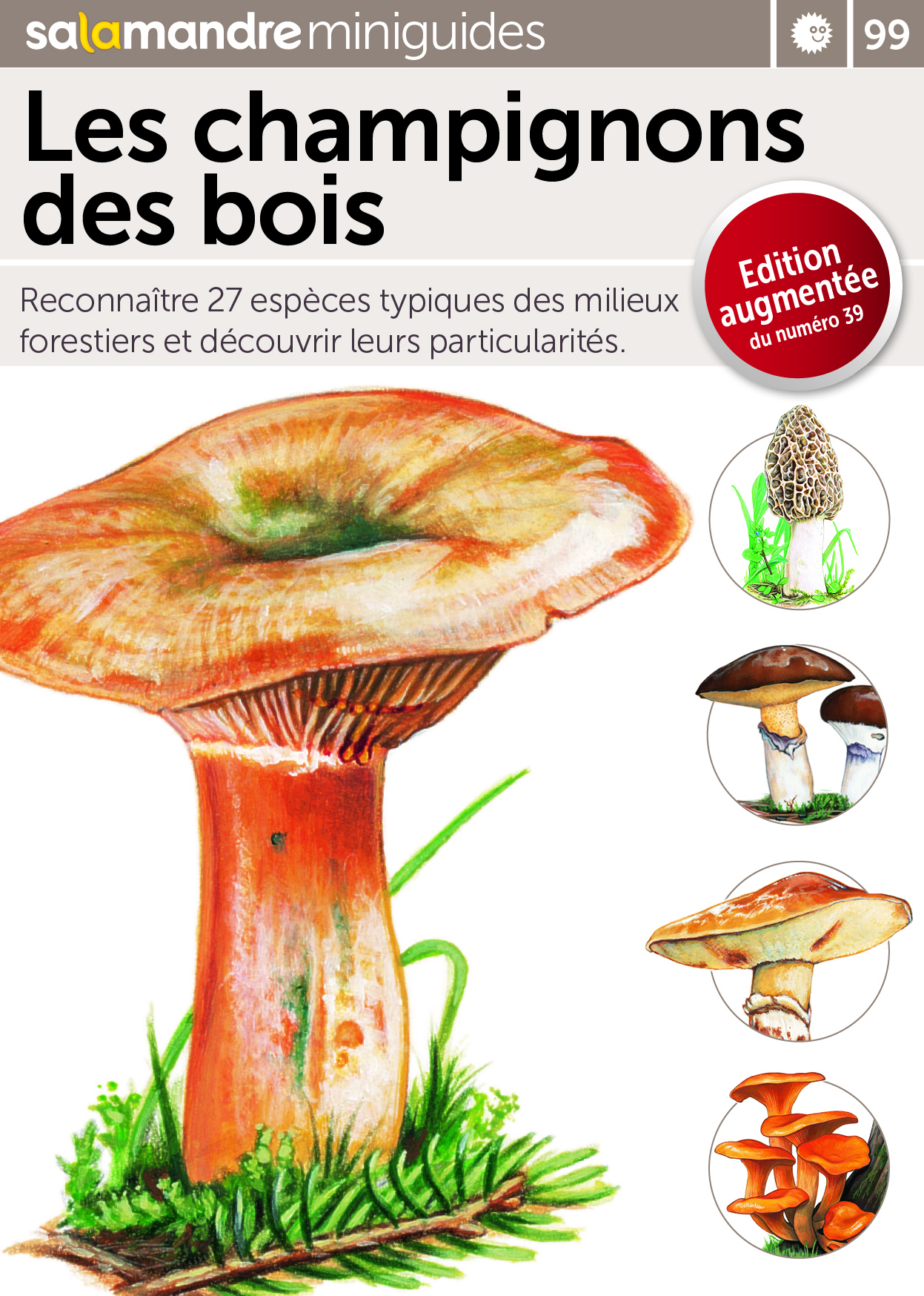 Mini-guide gratuit : Les champignons des bois 