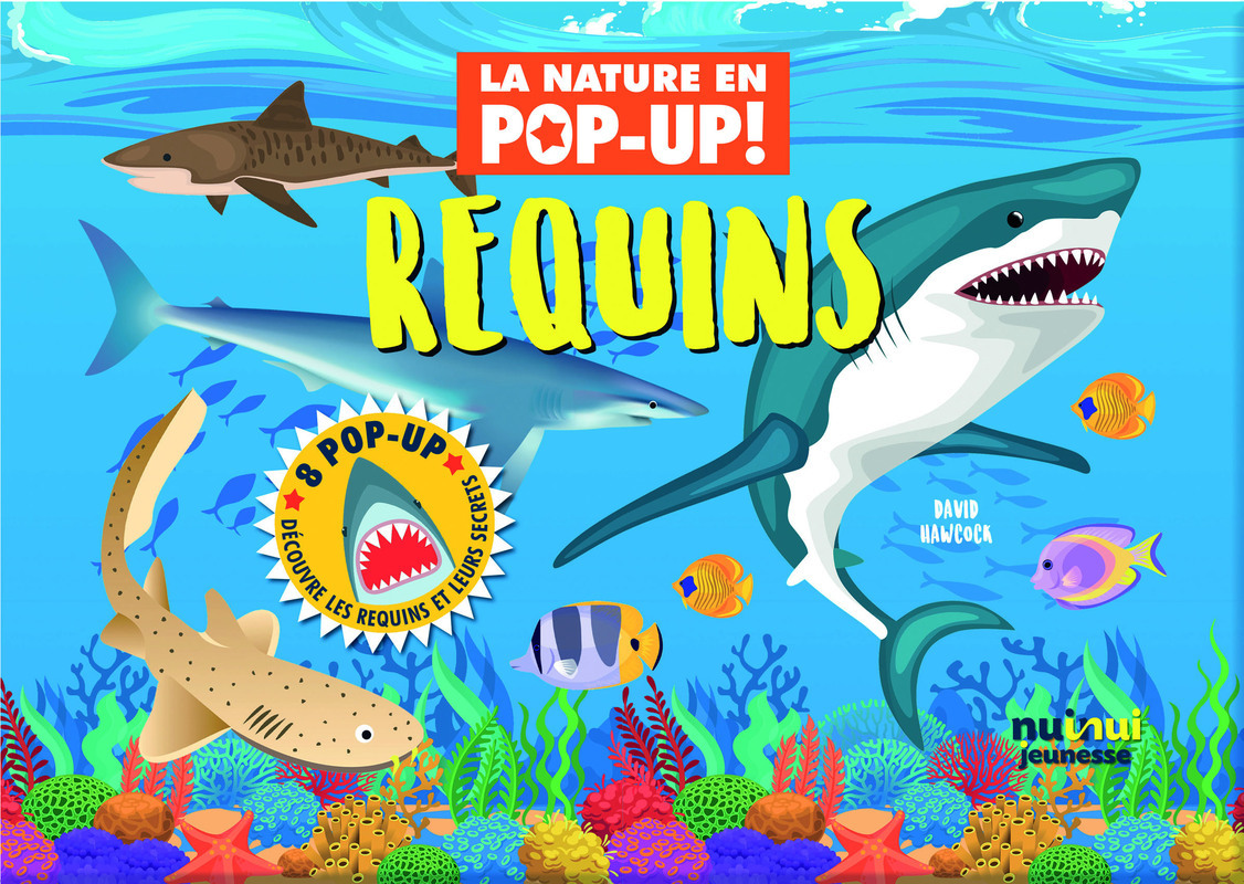 Nature pop-up - Requins