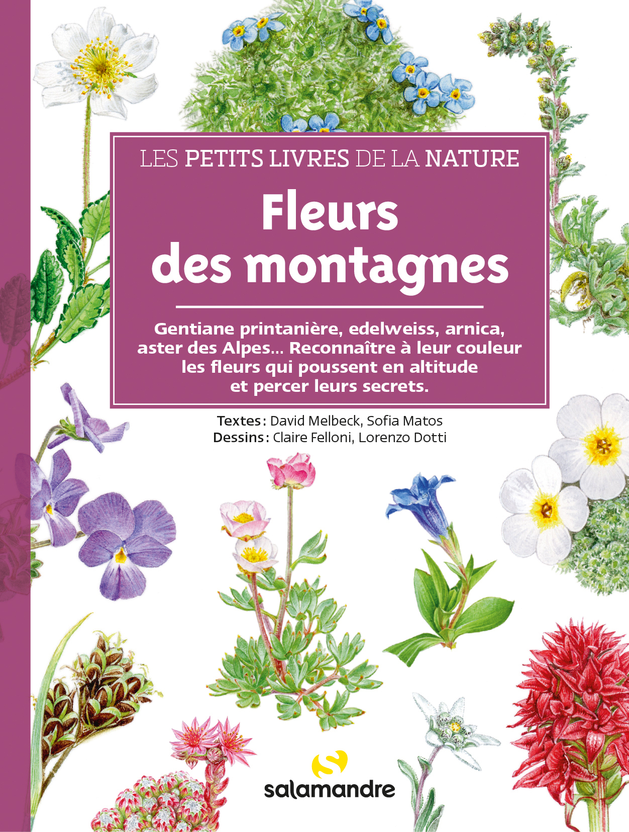 Fleurs des montagnes