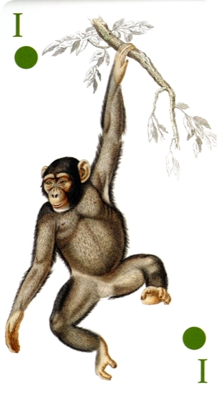 Tarot de la Reincarnation