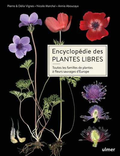 Encyclopédie des plantes libres - Toutes les familles de plantes à fleurs sauvages d'Europe