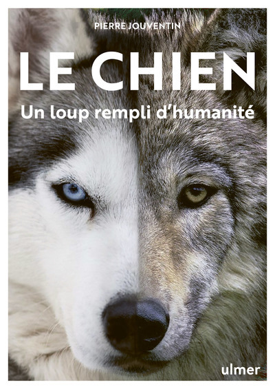 Le Chien, un loup rempli d'humanité