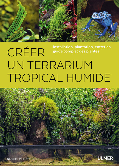Créer un terrarium tropical humide