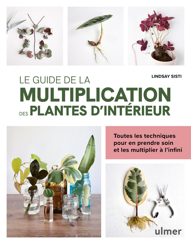 Le guide de la multiplication des plantes d'intérieur - Toutes les techniques pour en prendre soin et les multiplier à l'infini