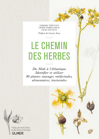 Le chemin des herbes - Du Midi à l'Atlantique : identifier et utiliser 80 plantes sauvages médicinales, alimentaires, tinctoriales
