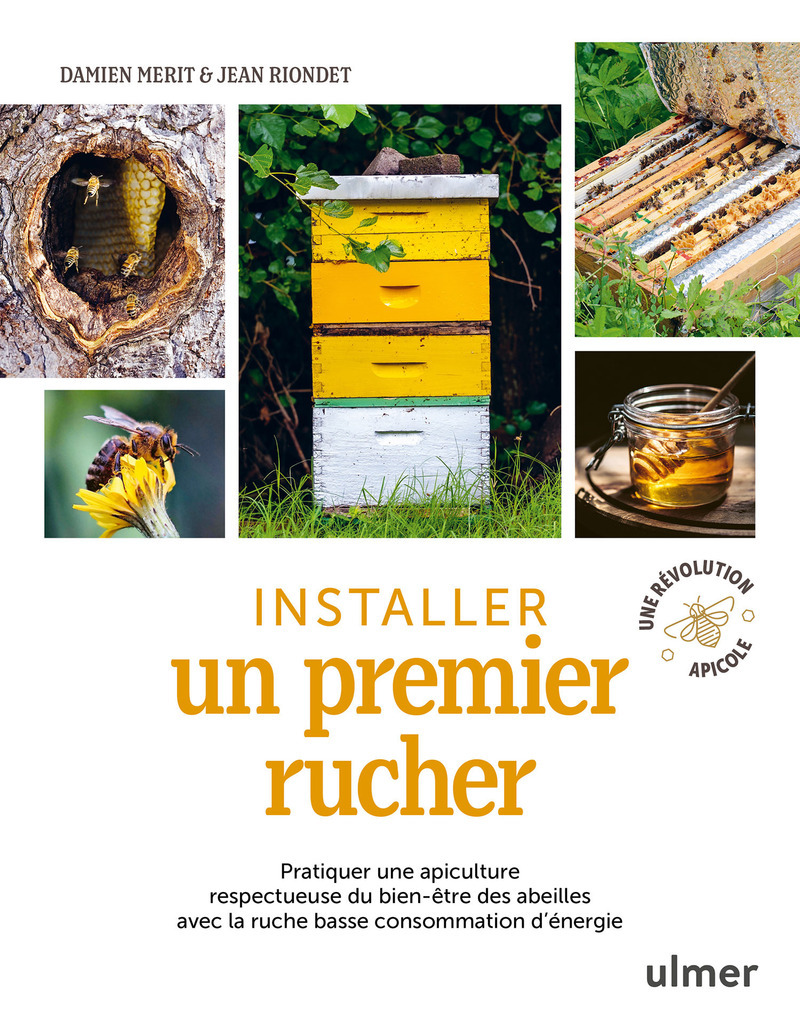 Installer un premier rucher