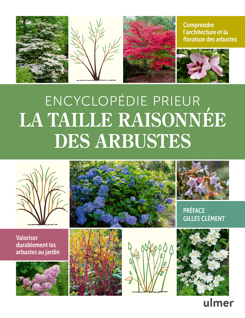 Encyclopédie Prieur - La taille raisonnée des arbustes