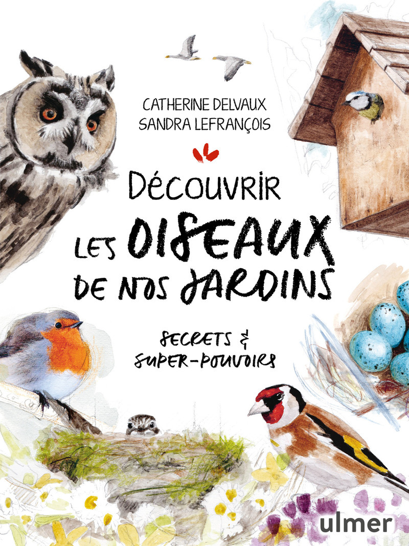 Découvrir les oiseaux de nos jardins