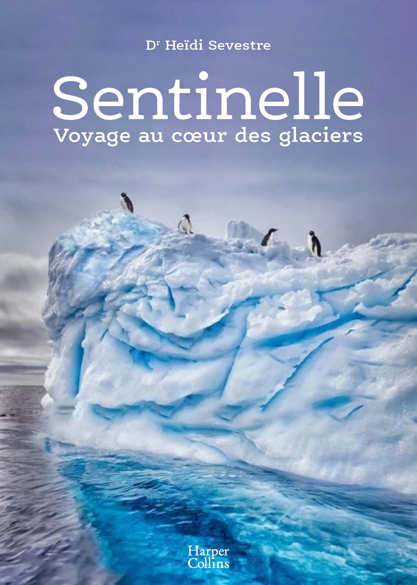 Sentinelle,  voyage au coeur des glaciers