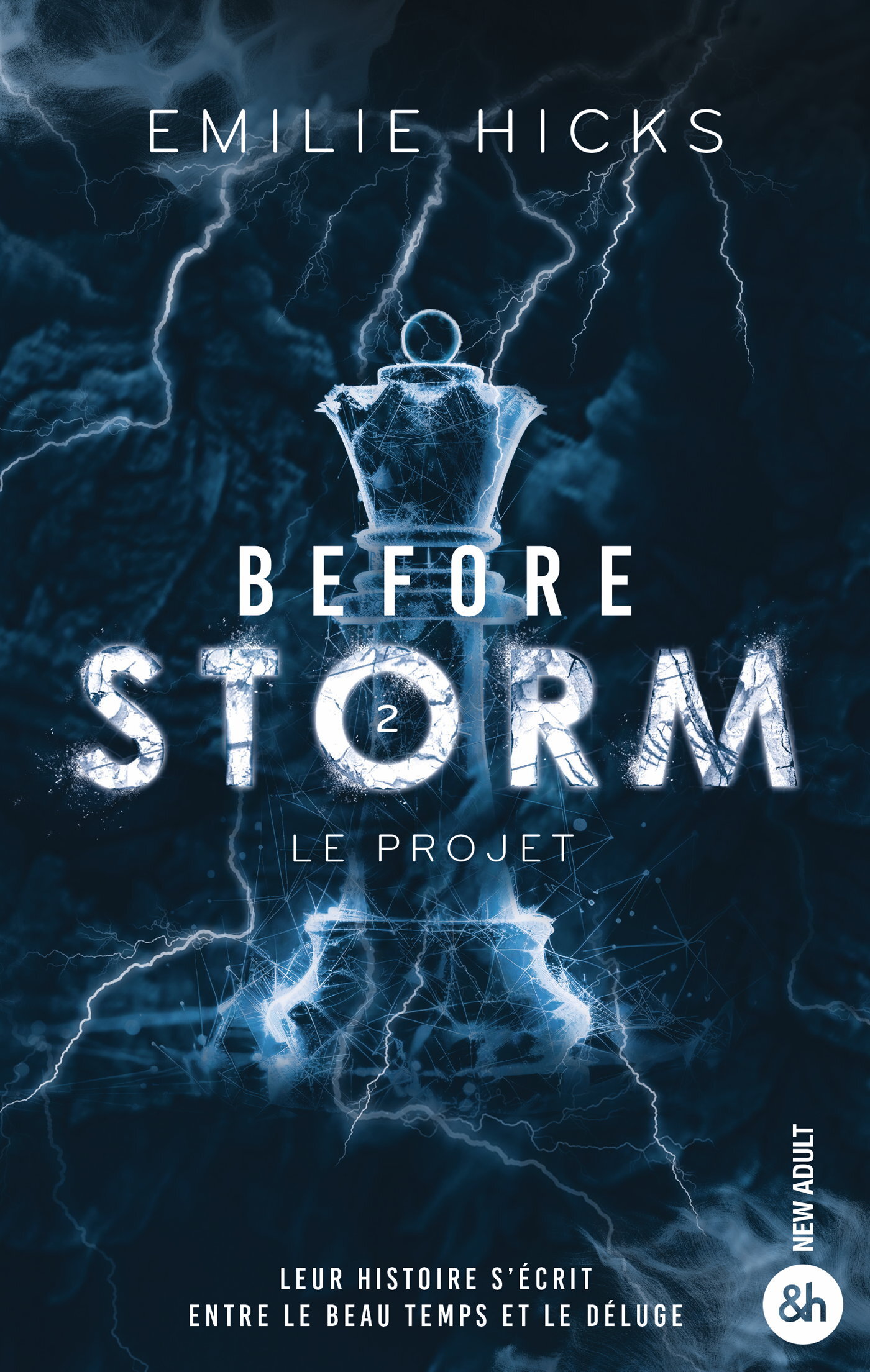 Before Storm - T2 : Le projet