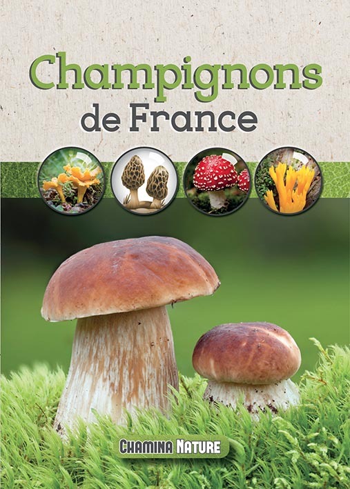 Champignons de France