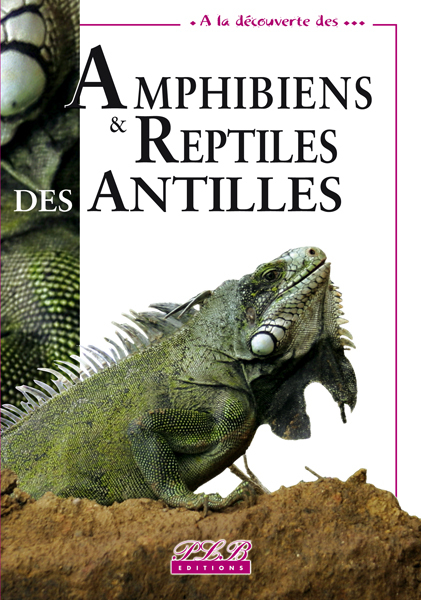Amphibiens & reptiles des Antilles