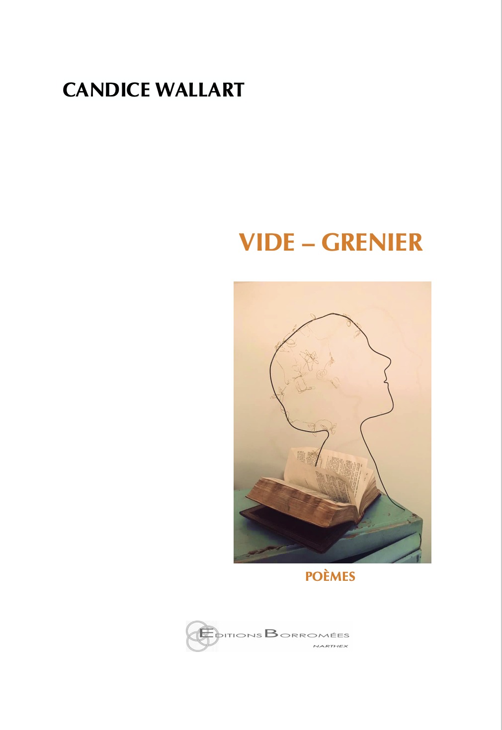 Vide-grenier