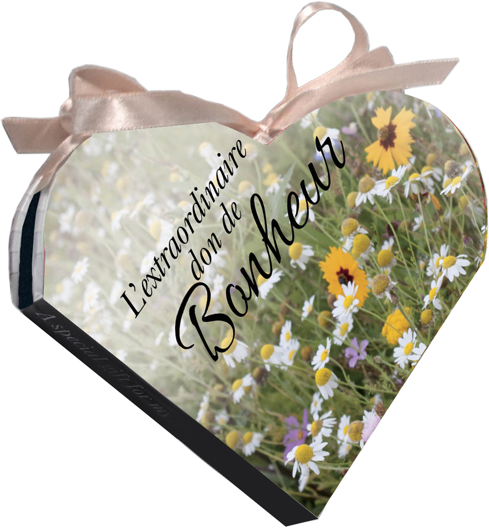 bonheur - l'extraordinaire don de bonheur