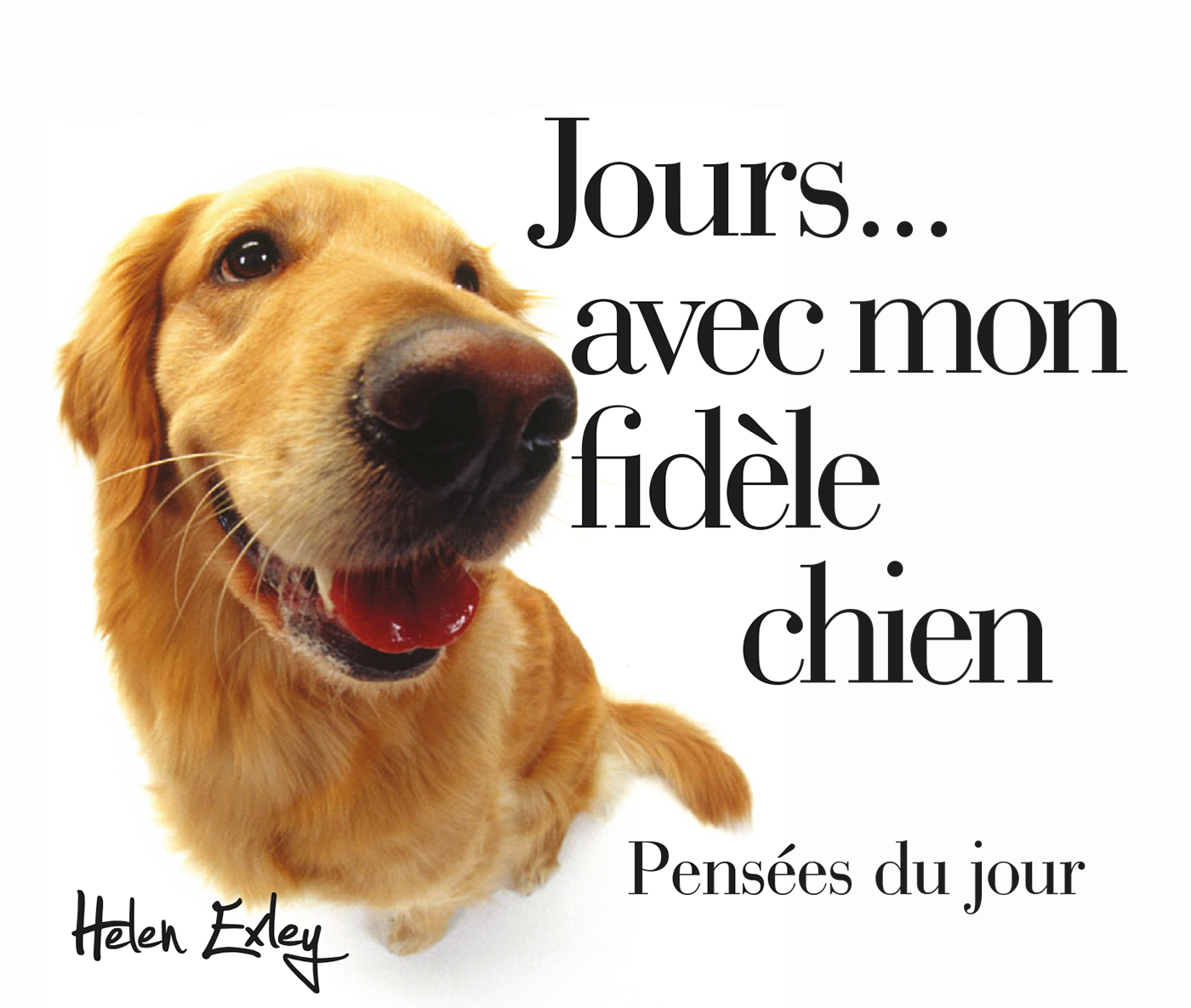 365 jours avec mon fidèle chien