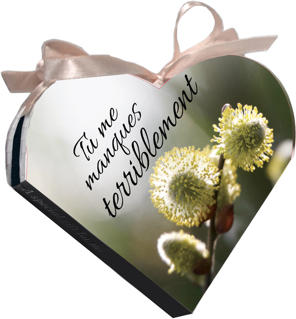 COEUR - TERRIBLEMENT TU ME MANQUES