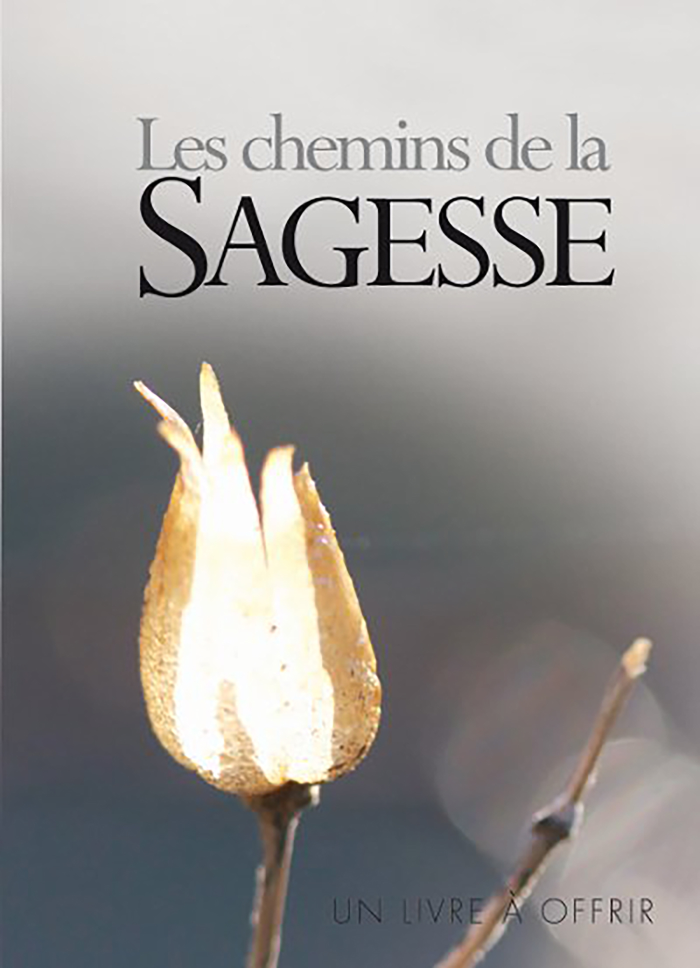 Les chemins de la sagesse
