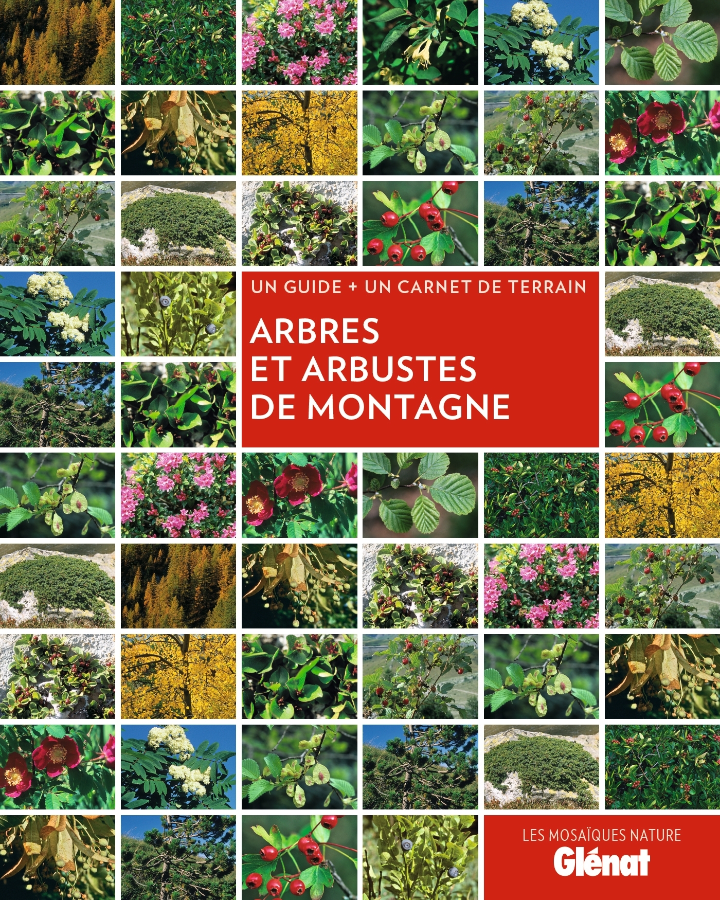 Arbres et arbustes de montagne