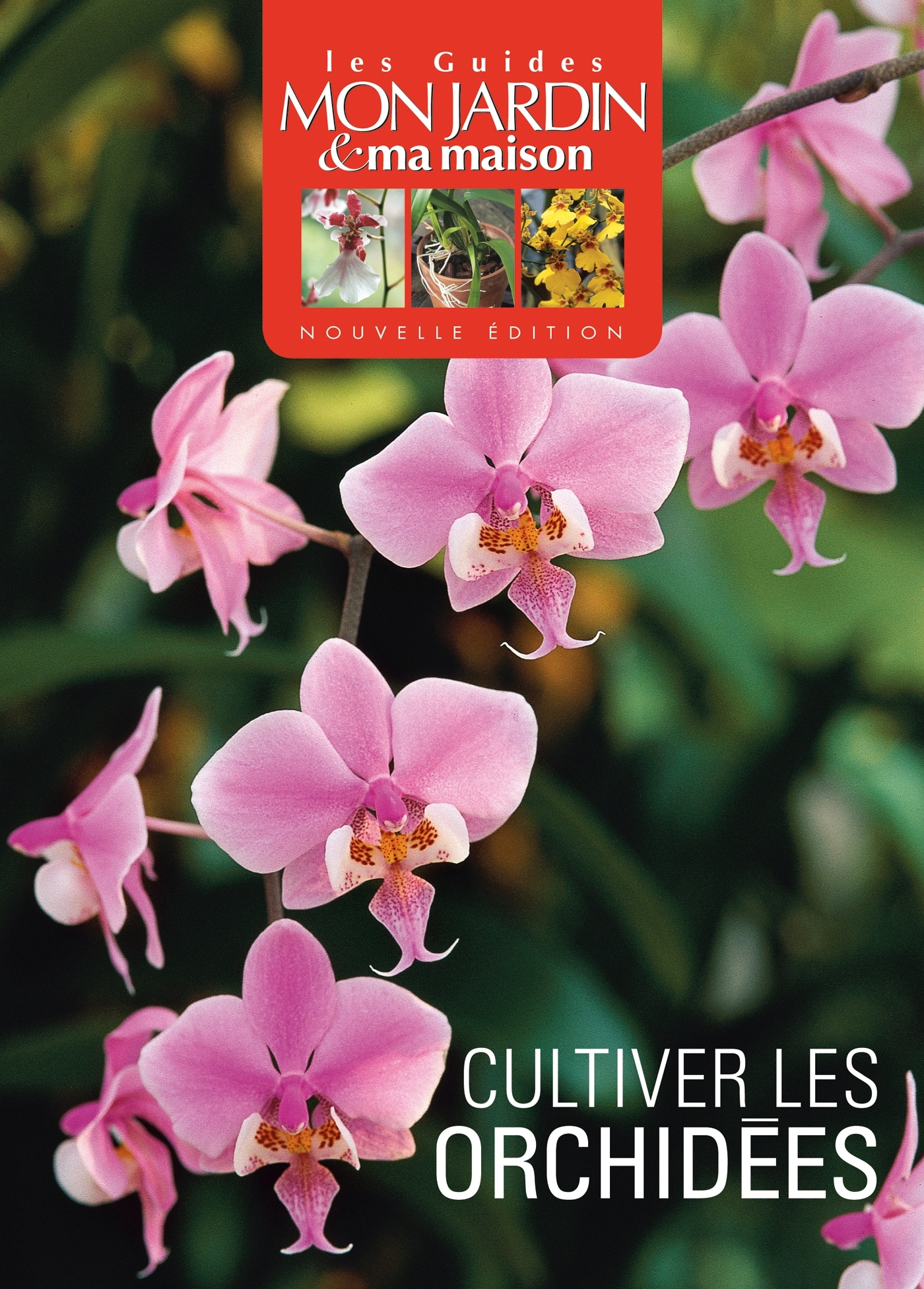 Cultivez les orchidées