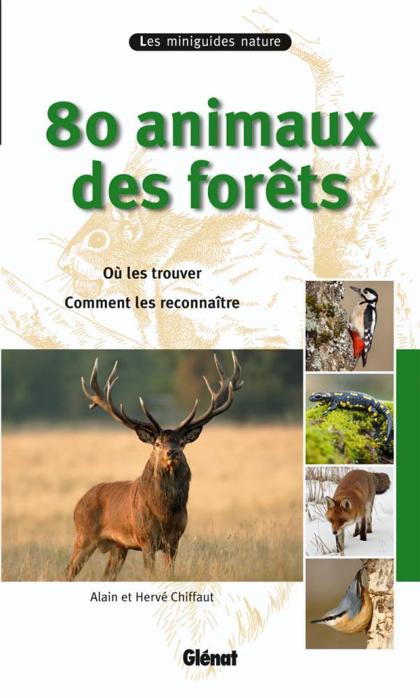 80 animaux des forêts