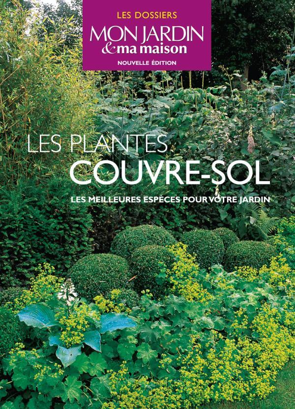Les plantes couvre-sol