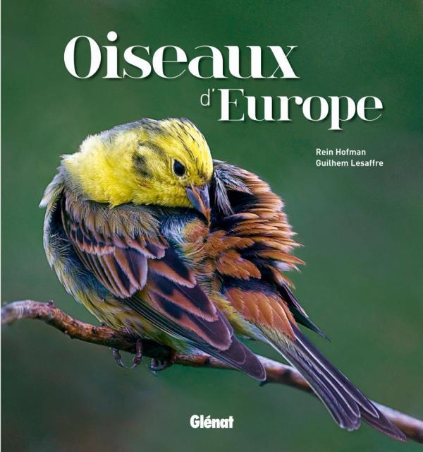 Oiseaux d'Europe