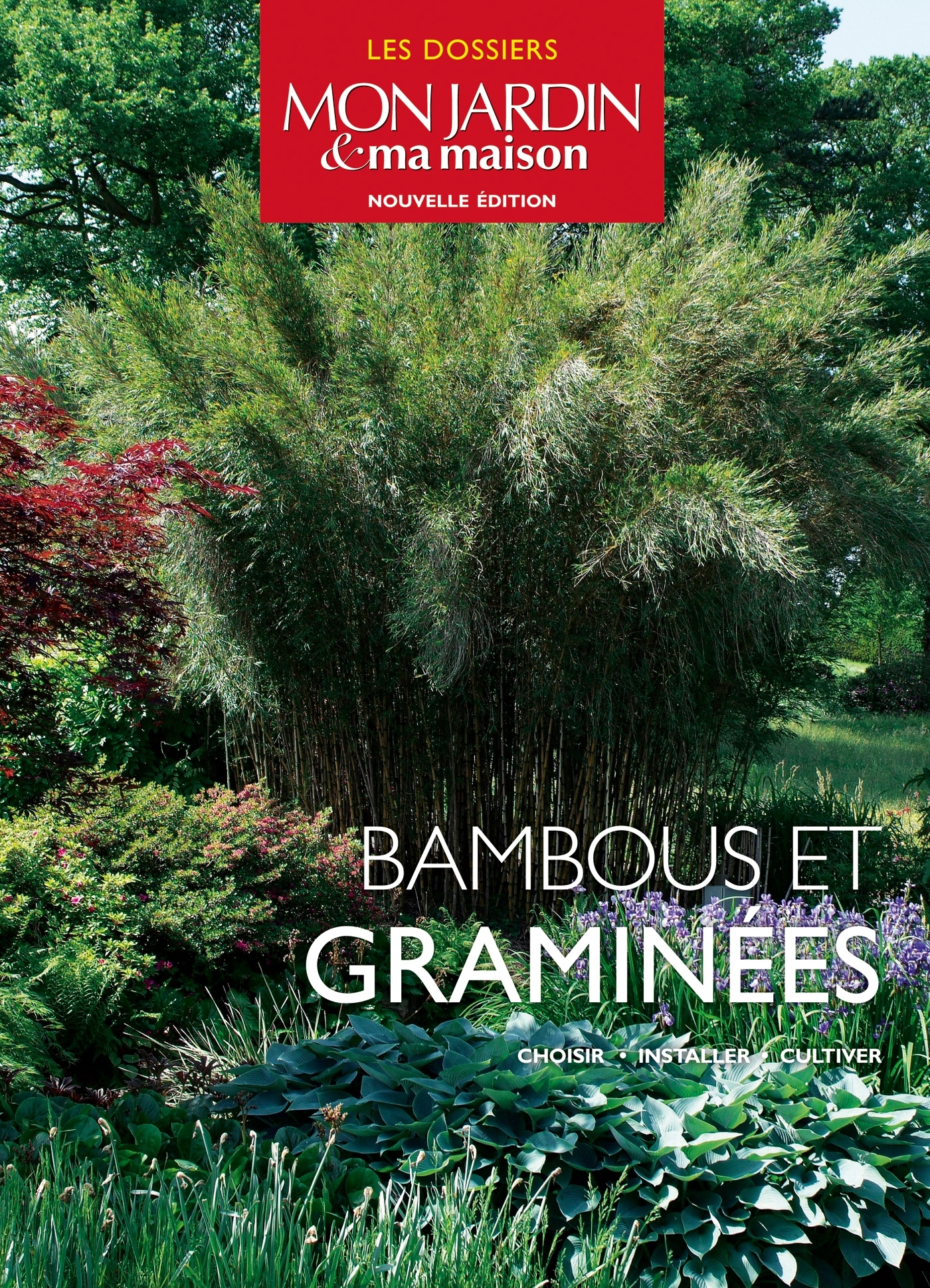 Bambous et graminées