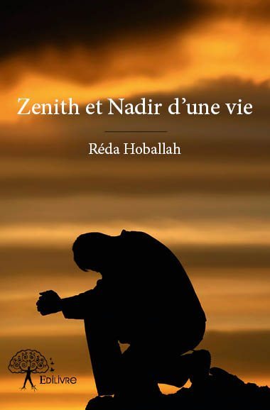 Zenith et nadir d'une vie