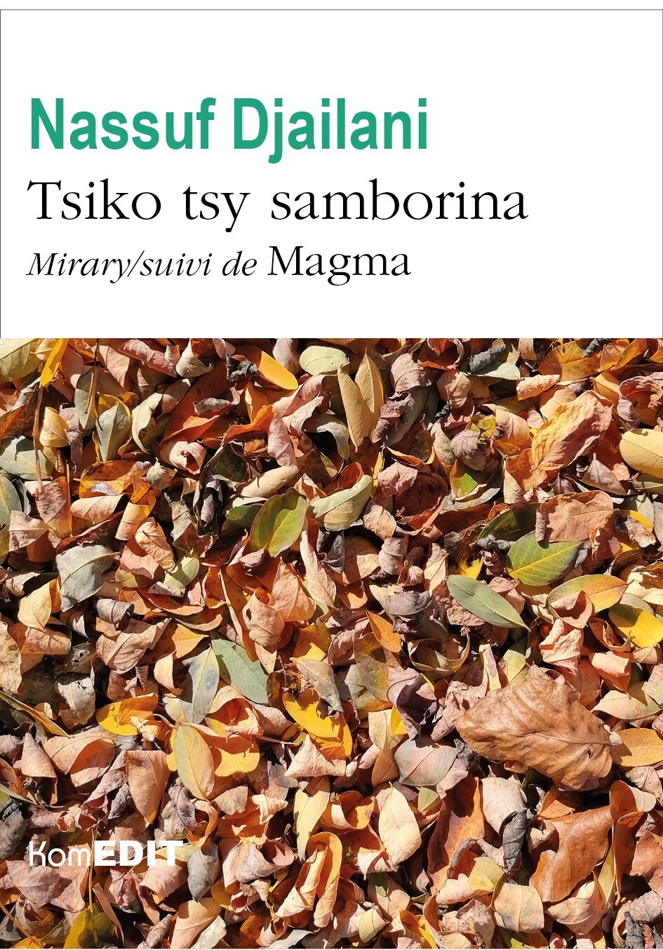 Tsiko tsy samborina