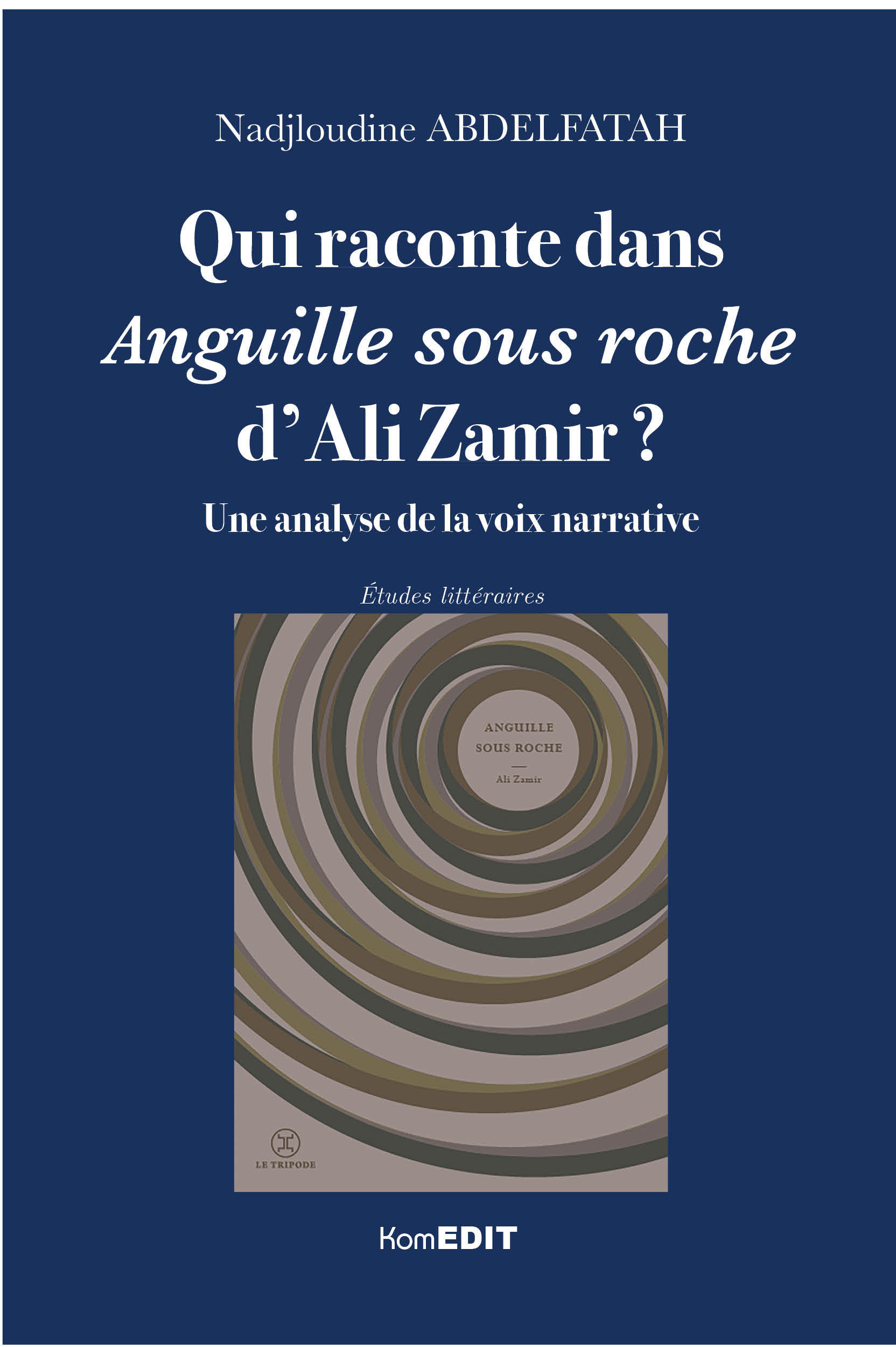 Qui raconte dans Anguille sous roche d'Ali Zamir ?
