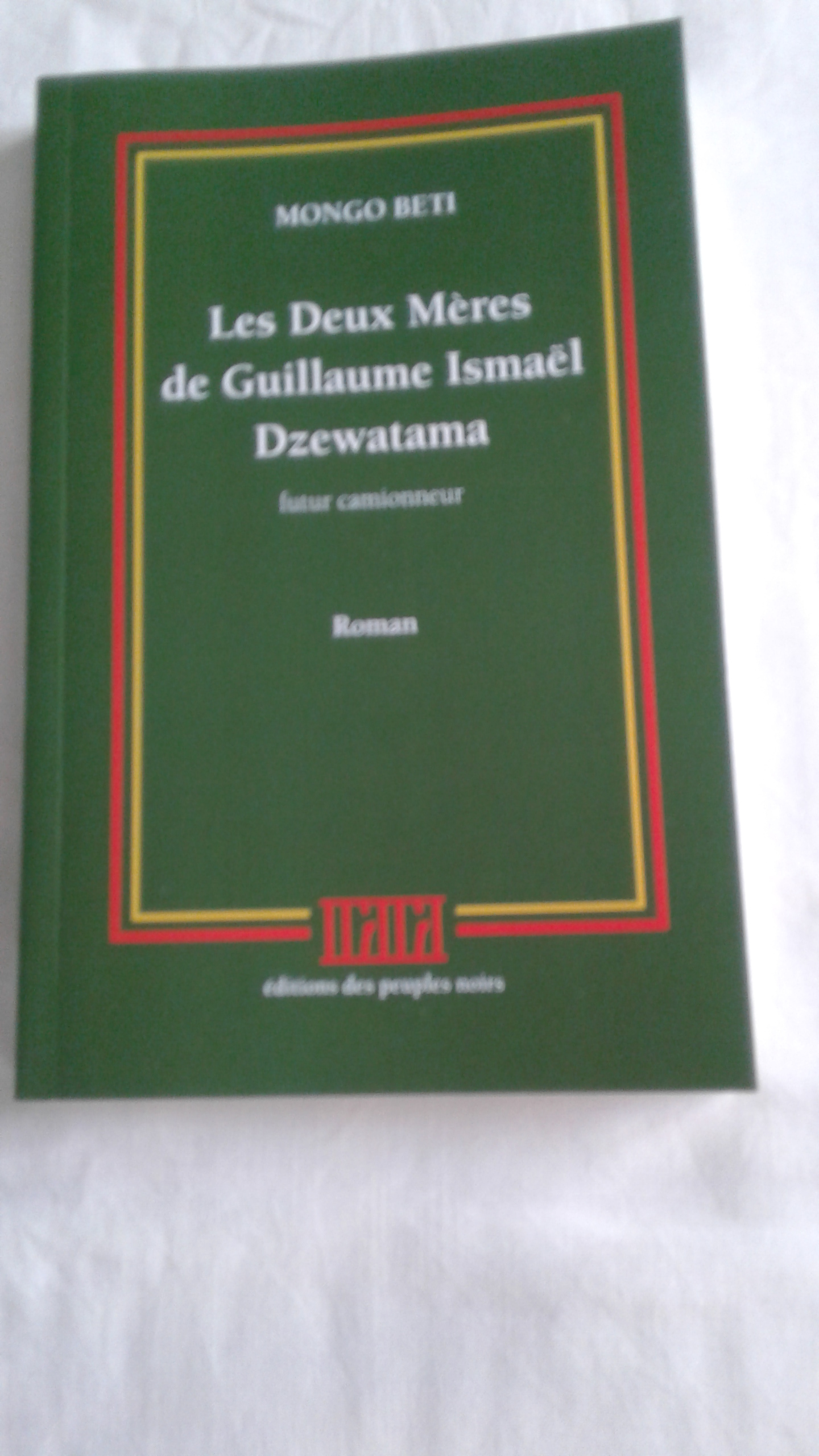 Les deux mères de Guillaume Ismaël Dzewatama
