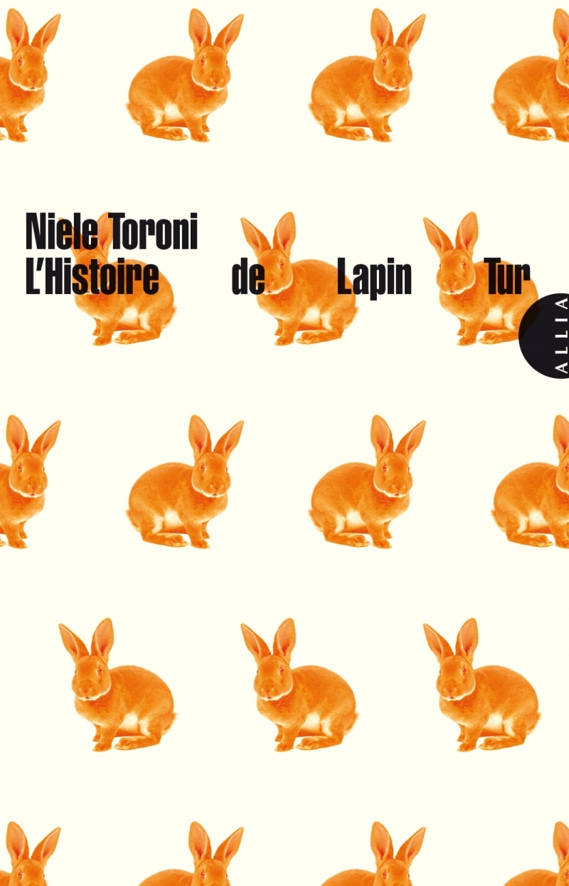 L'HISTOIRE DE LAPIN TUR