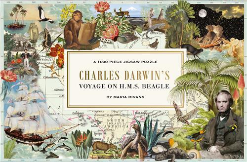 Charles Darwin's Voyage on H.M.S. Beagle:  A 1000-Piece Jigsaw Puzzle /anglais