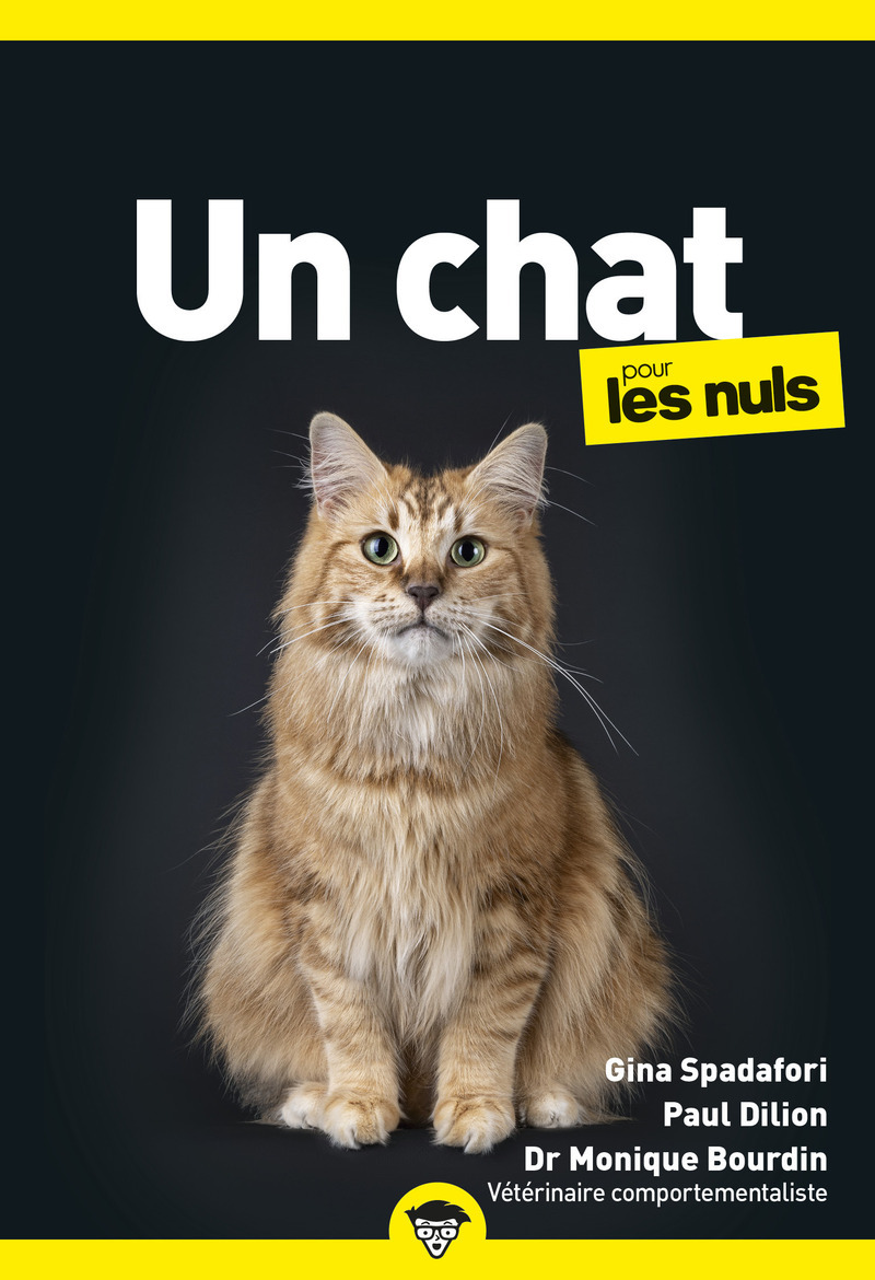 Un chat pour les nuls