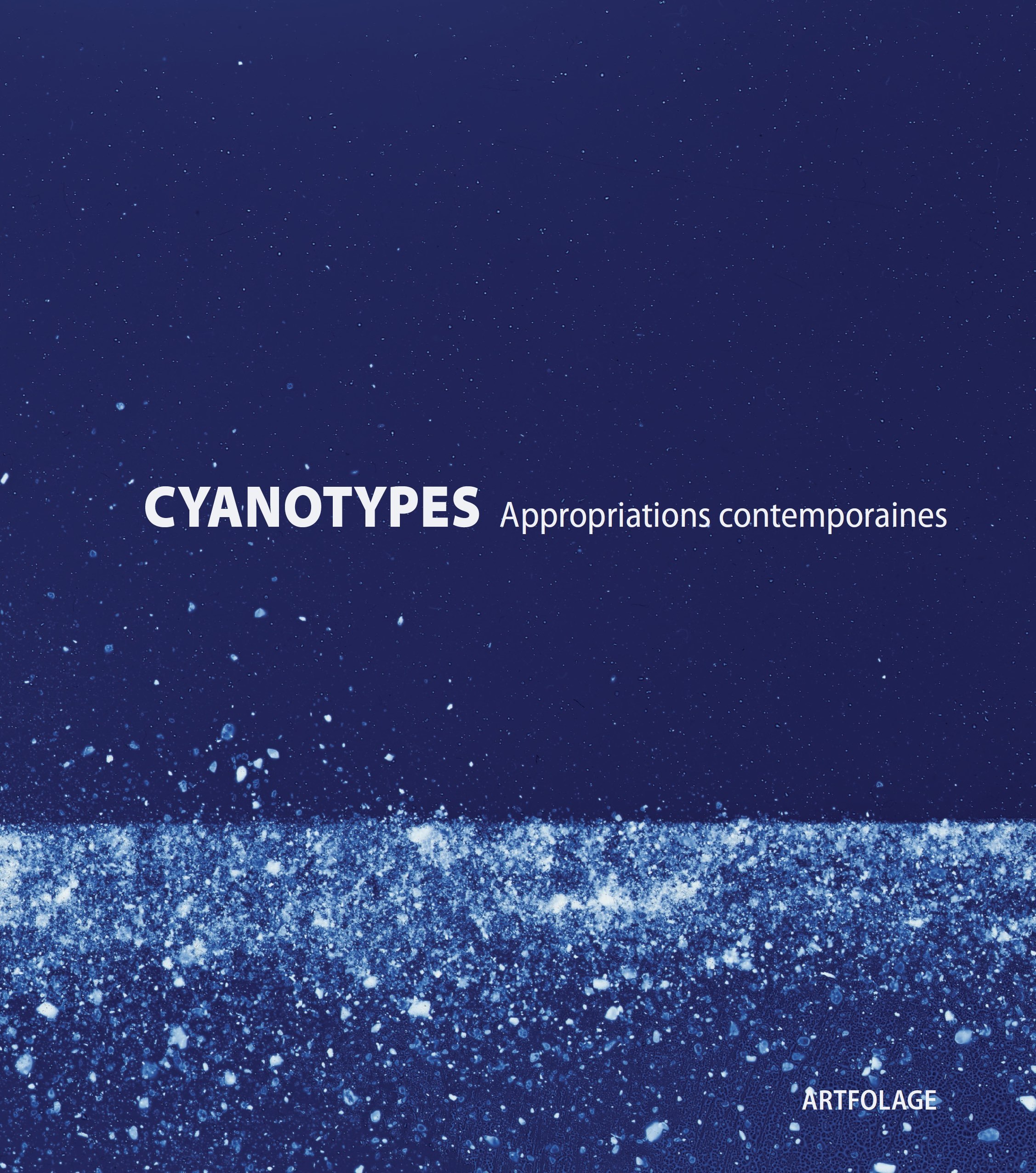 Cyanotypes Appropriations contemporaines