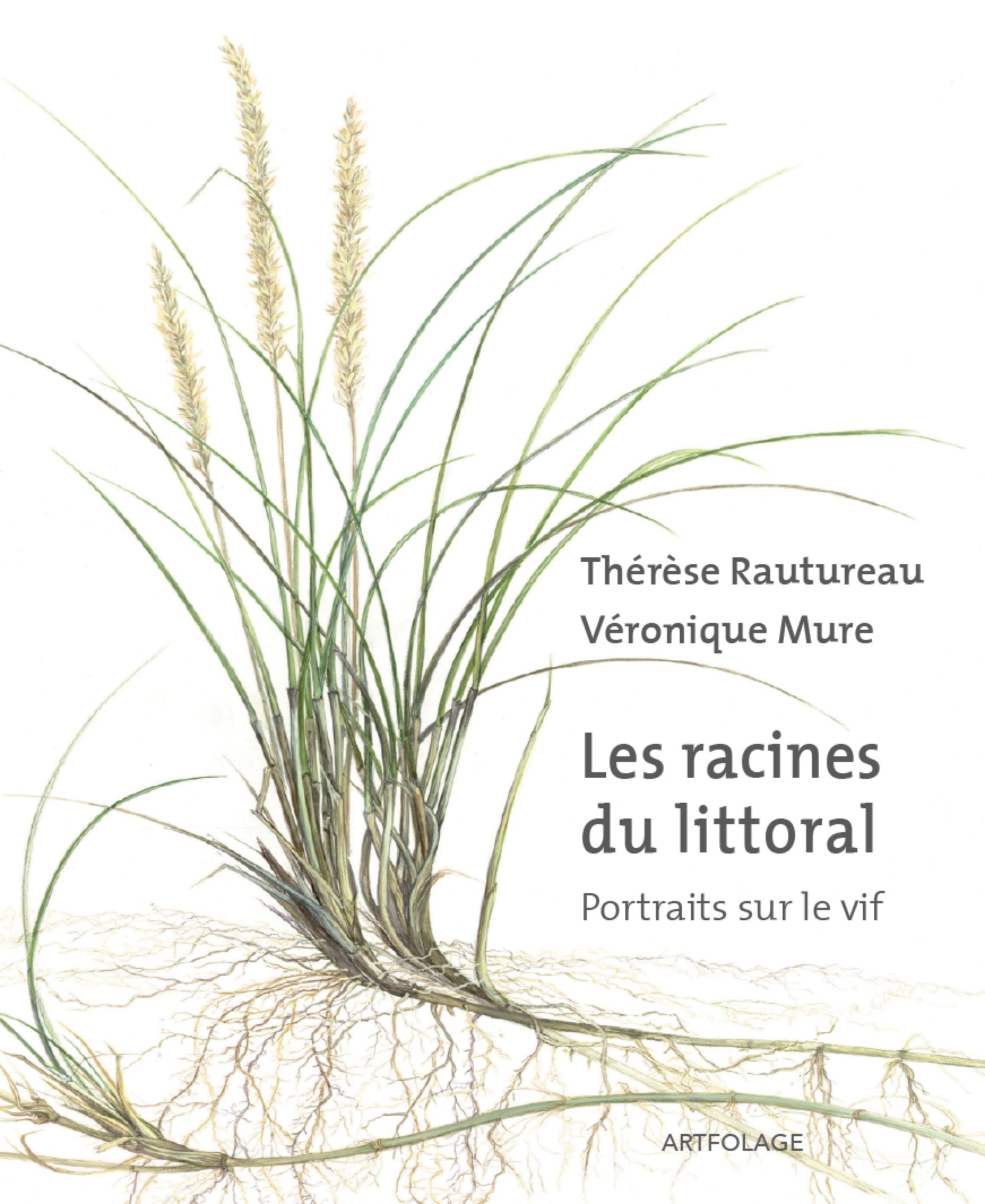 Les racines du littoral