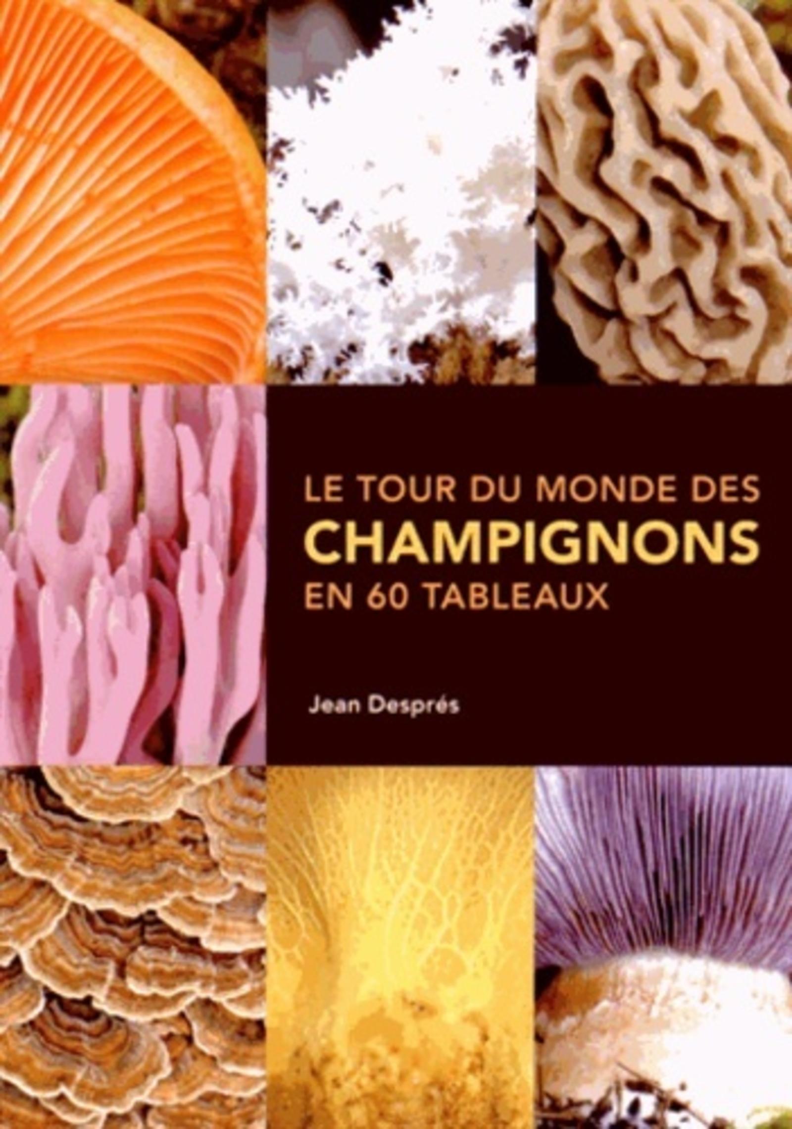 Tour du monde des champignons en 60 tableaux (Le)