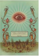 Claudio Romo A Journey in the Phantasmagorical Garden of Apparitio Albinus /anglais