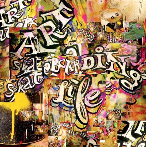 Art Skateboarding and Life (Hardback) /anglais