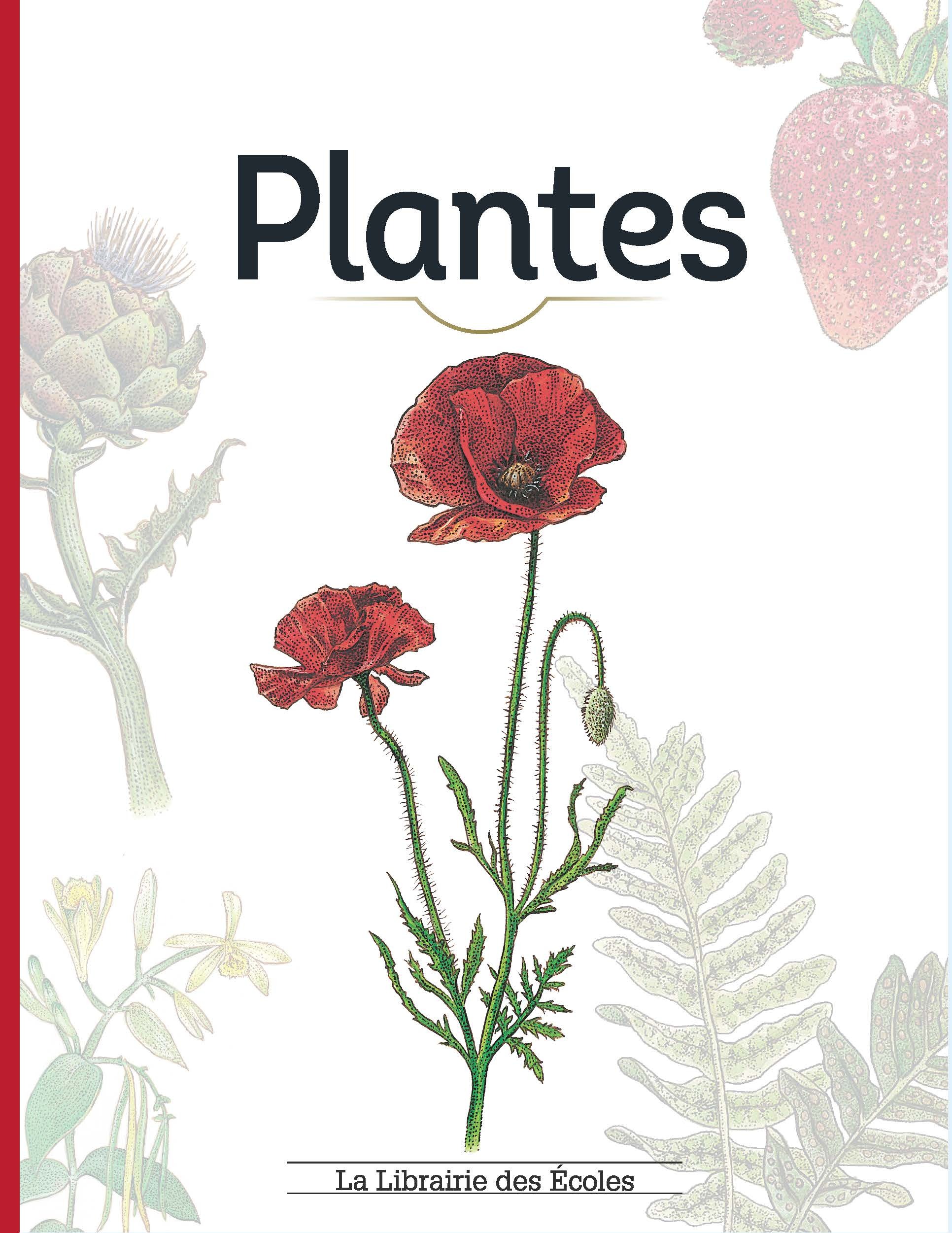 Plantes