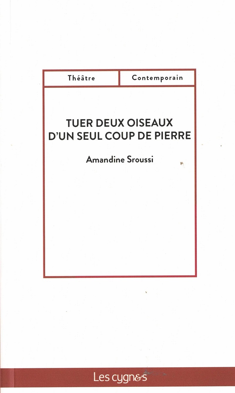 TUER DEUX OISEAUX D UN SEUL COUP DE PIERRE