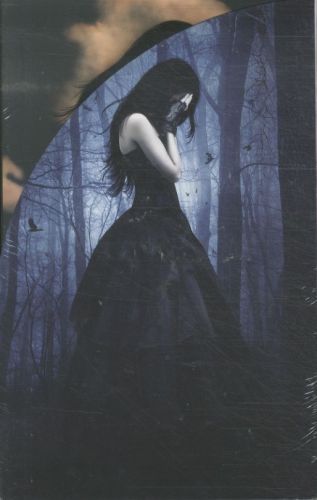 Lauren Kate Passion Series Box Set