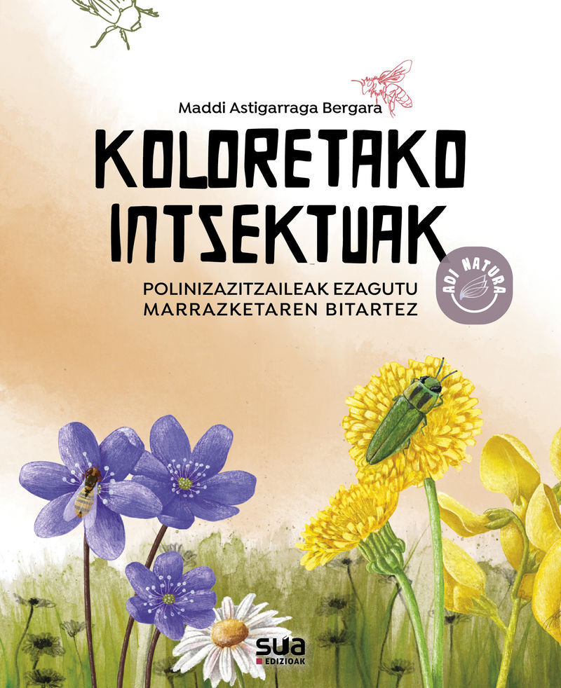 KOLORETAKO INTSEKTUAK