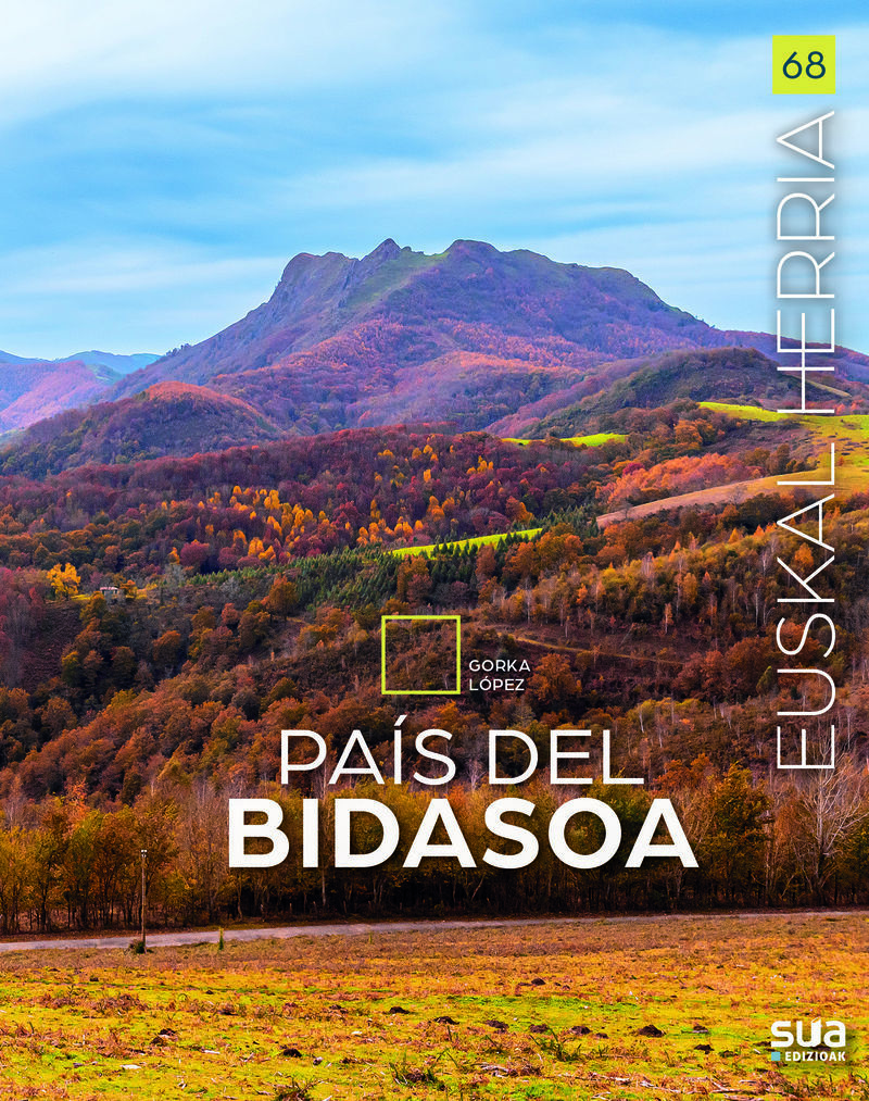 PAIS DEL BIDASOA - GUIA VIAJERA Y RUTAS DE MONTAYA