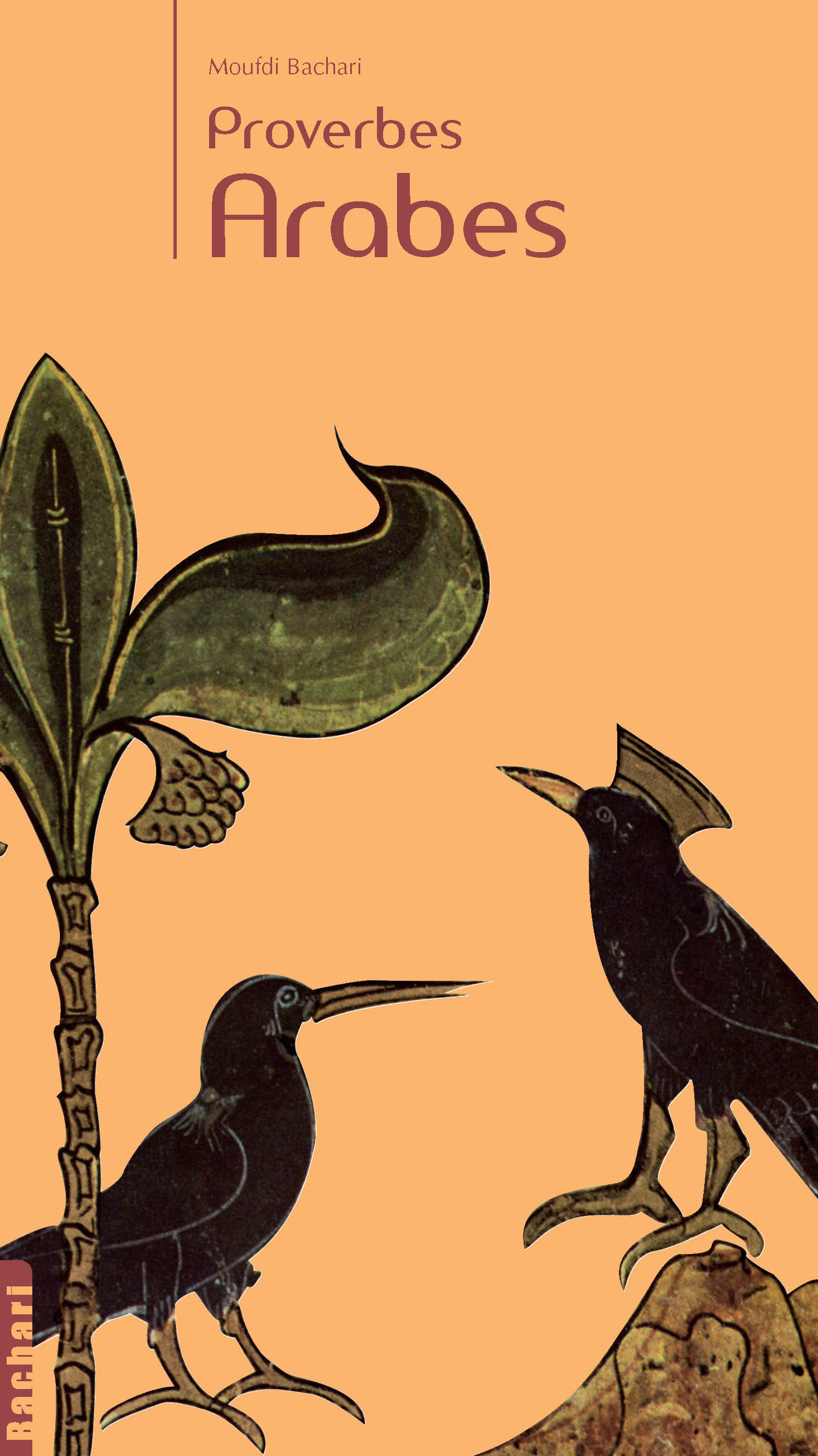 PROVERBES ARABES