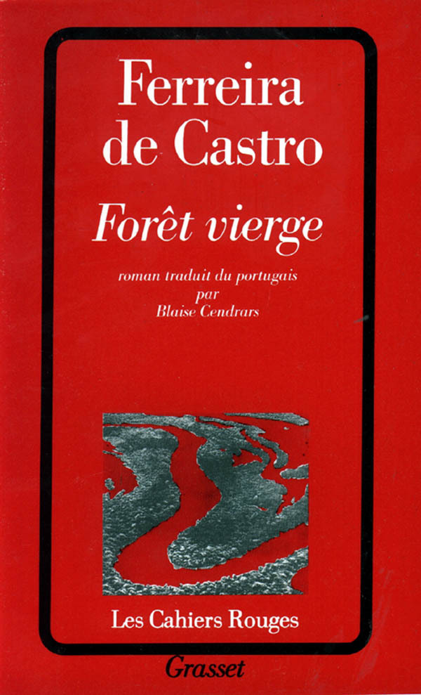 Forêt vierge