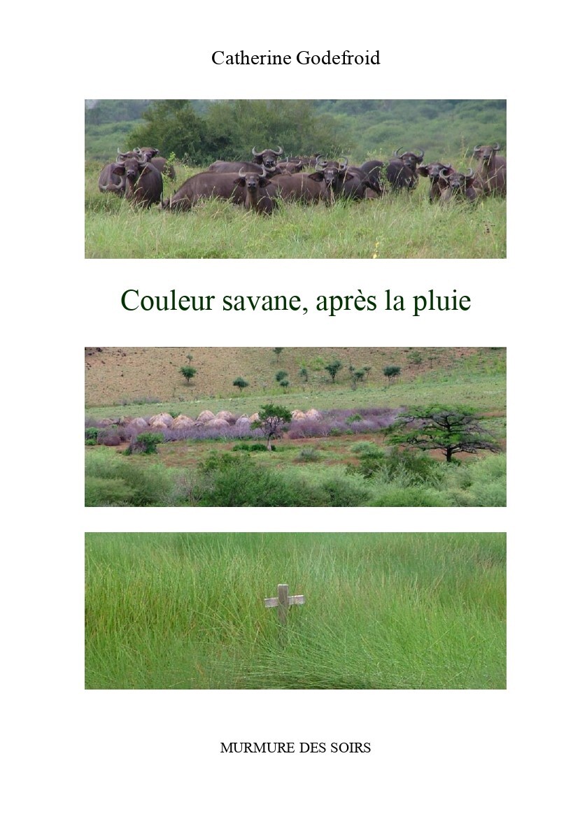 COULEUR SAVANE, APRES LA PLUIE