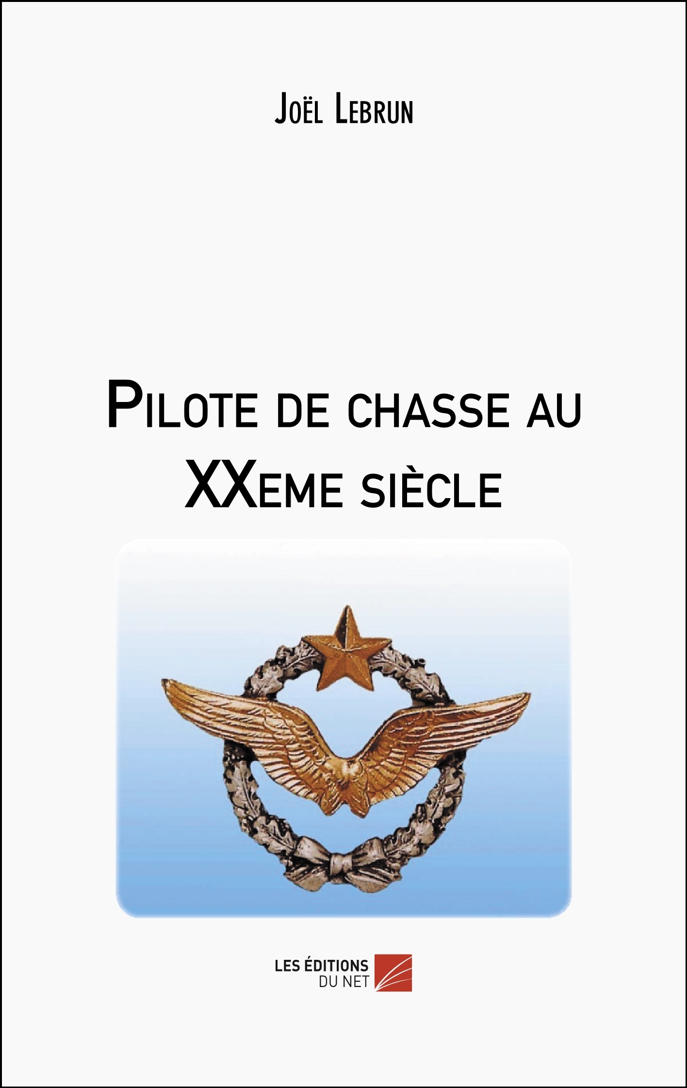 Pilote de chasse au XXeme siècle