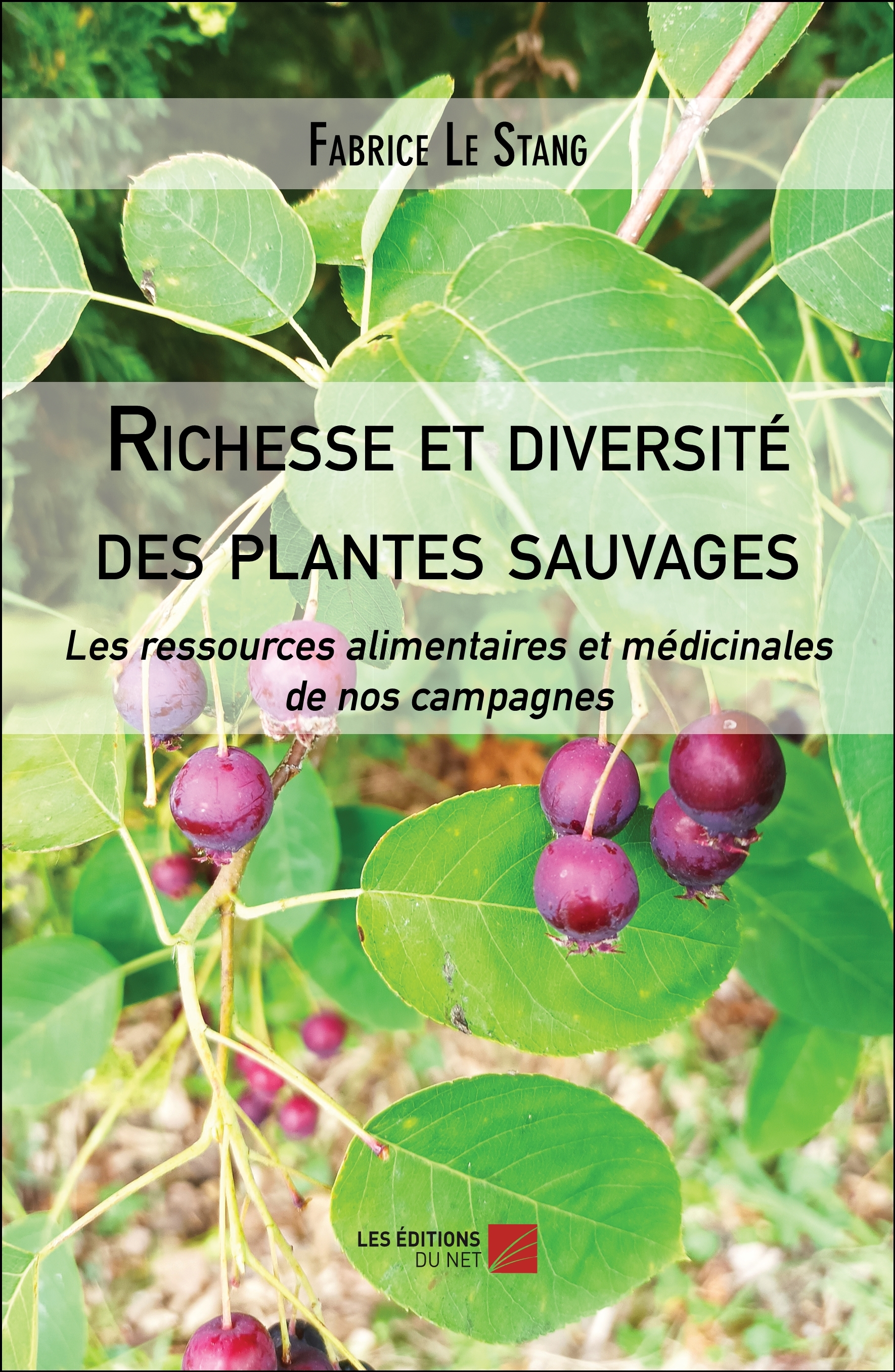 Richesse et diversité des plantes sauvages