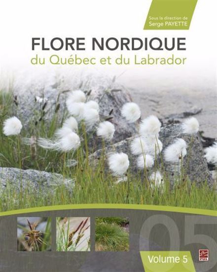 FLORE NORDIQUE DU QUEBEC ET DU LABRADOR V 05